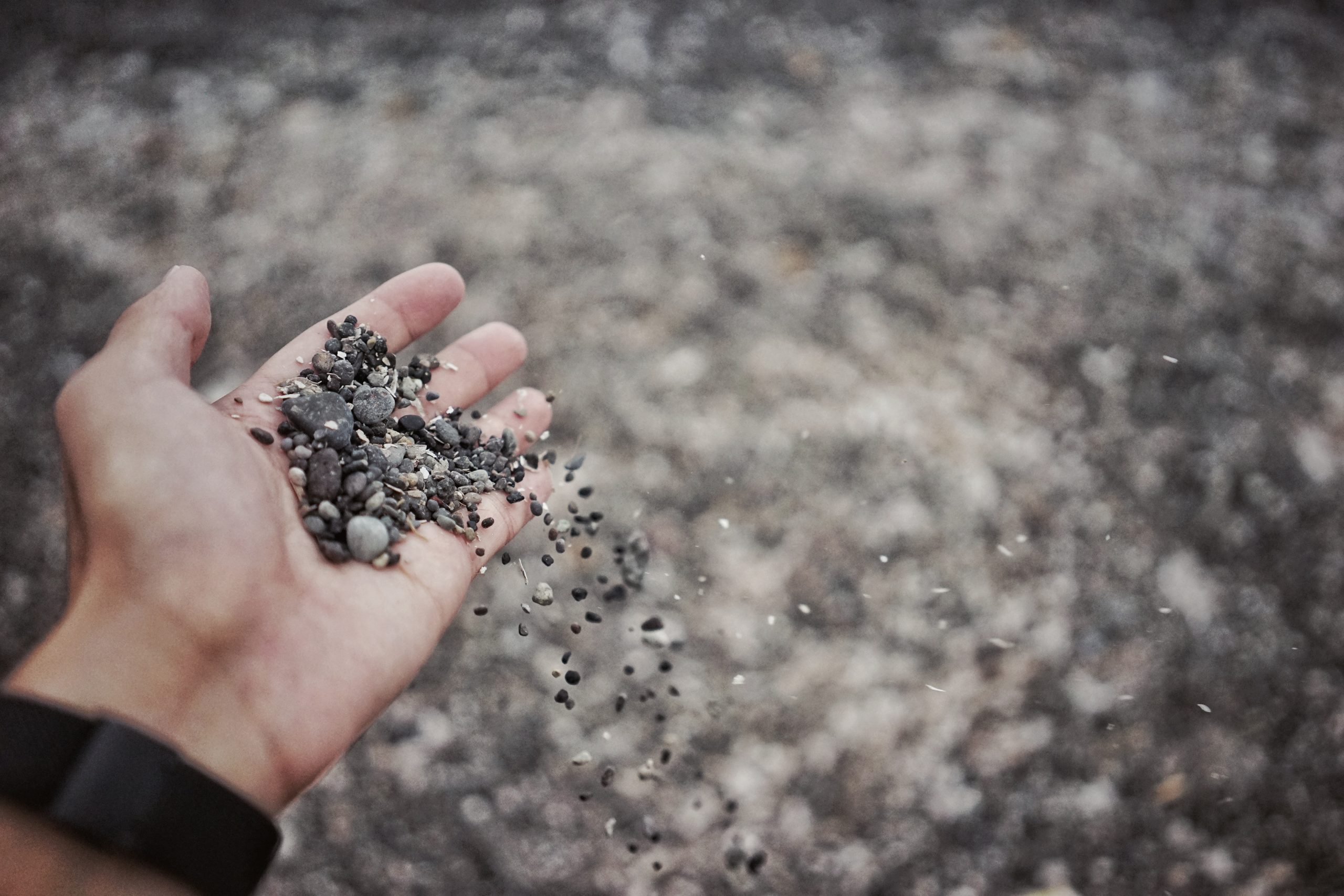 pan-xiaozhen-254933-unsplash